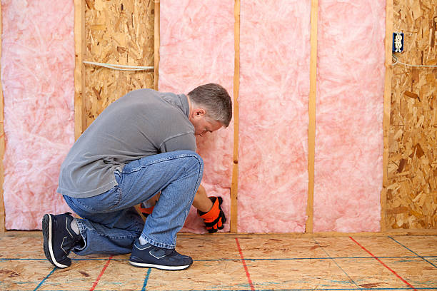 Best Geographic-Specific Insulation Services in Owensboro, KY