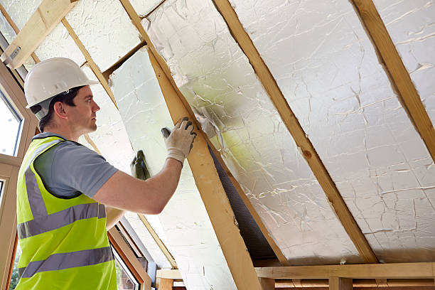 Best Insulation Maintenance and Repair in Owensboro, KY